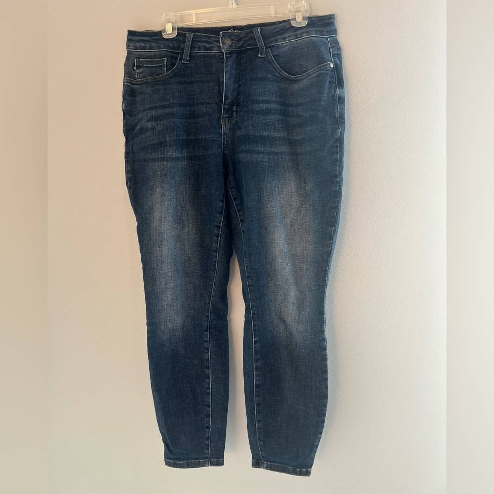 Judy Blue Dark Wash Skinny Fit Jeans 14W